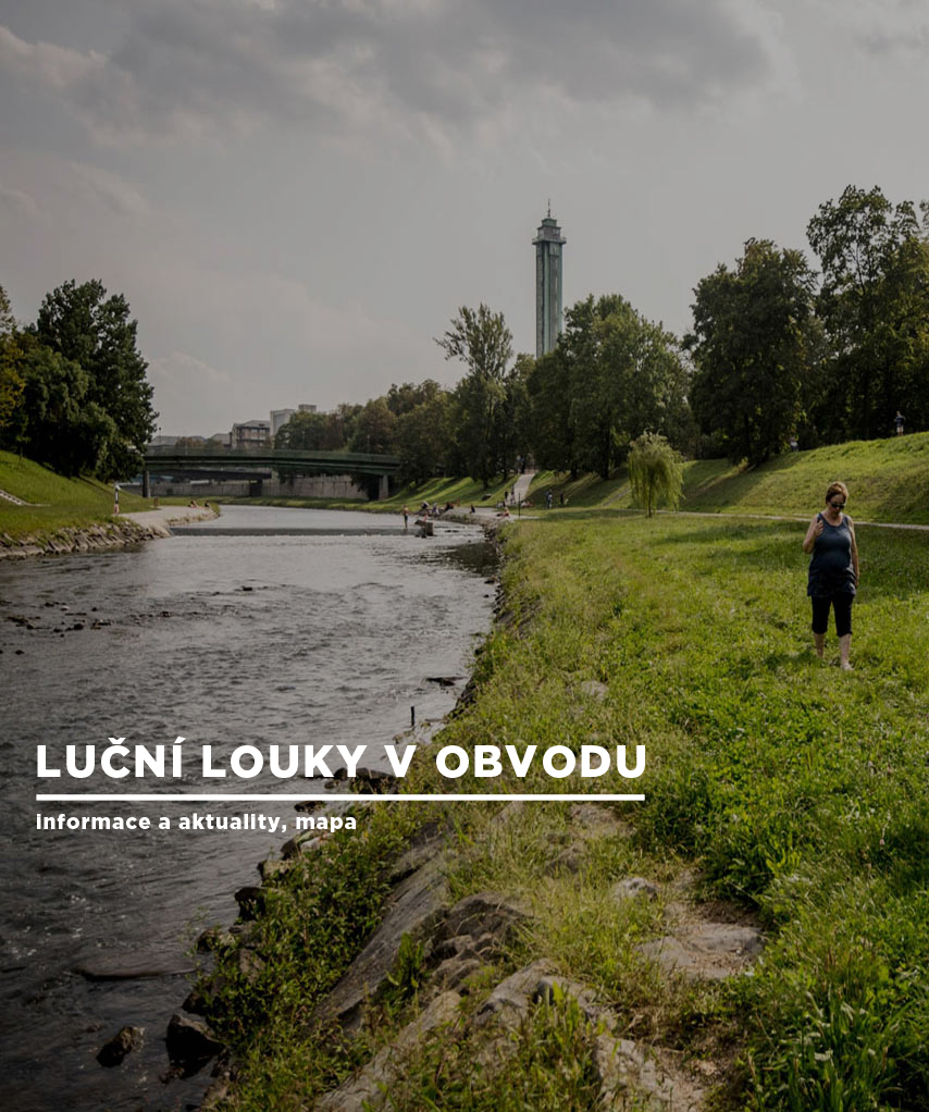 trvalka-ziv-prostr-LG-foto