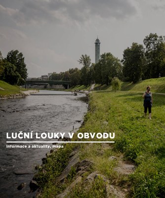 trvalka-ziv-prostr-LG-foto