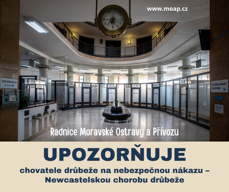Chovatelé drůbeže a ptáků v zajetí mají povinnost nahlásit své chovy