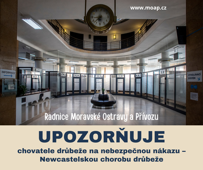 Chovatelé drůbeže a ptáků v zajetí mají povinnost nahlásit své chovy
