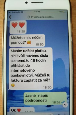Falešný syn_2