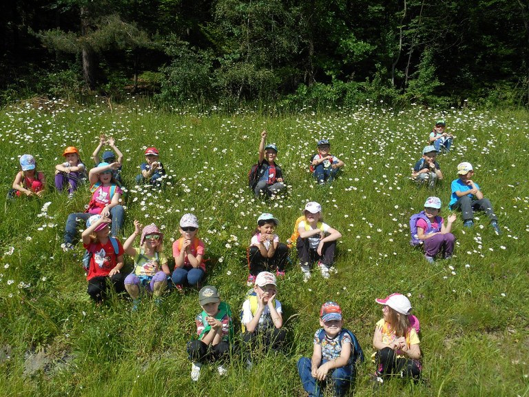 Děti z MŠ Varenská zažily ve škole v přírodě pravé motýlí dobrodružství 
