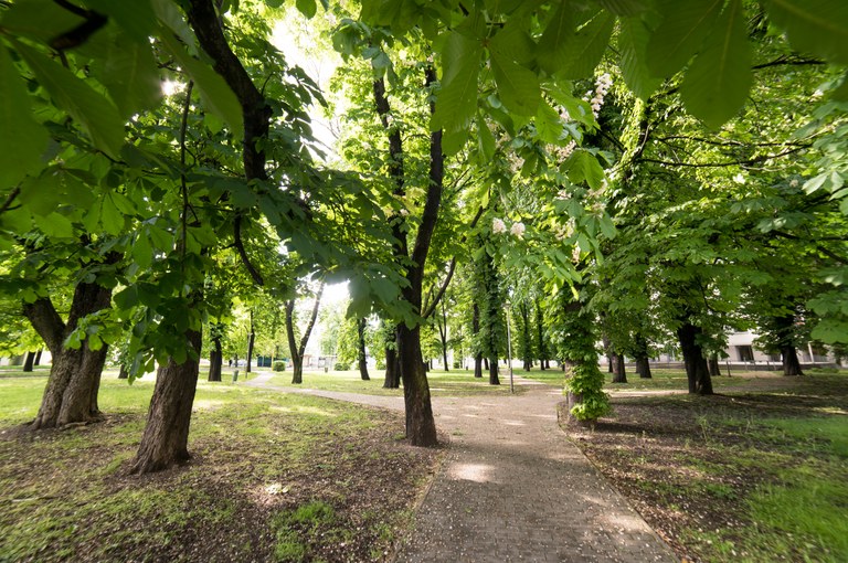 Dlouho očekávaná revitalizace Sadu Boženy Němcové začíná!