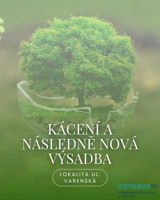 KÁCENÍ DŘEVIN NA ULICI VARENSKÁ