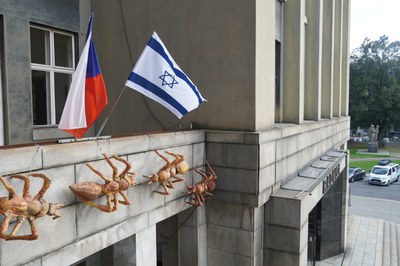 Městský obvod Moravská Ostrava a Přívoz symbolicky vyvěsil státní vlajku Izraele