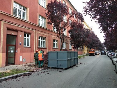 Nemocné stromy na Zborovské ulici nahradí zdravé