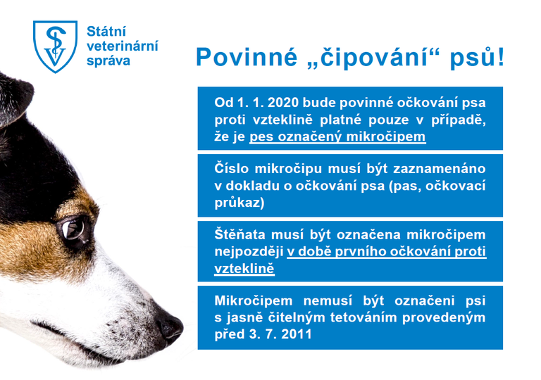 Nezapomeňte očipovat svého psa