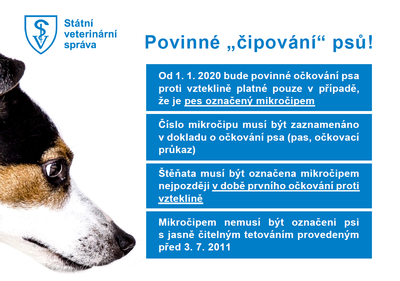 Nezapomeňte očipovat svého psa