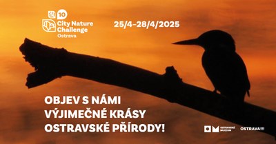 Ostrava slaví úspěch v globálním projektu City Nature Challenge