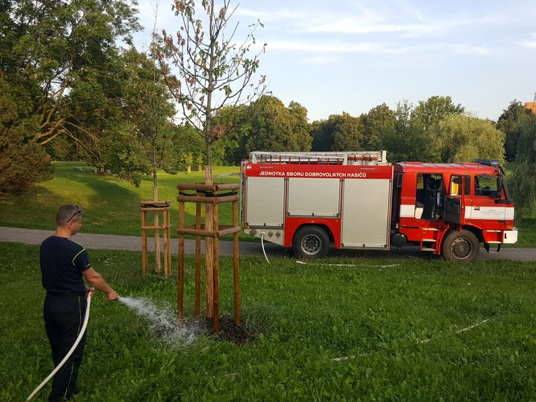 Se zaléváním stromů nám pomáhají hasiči