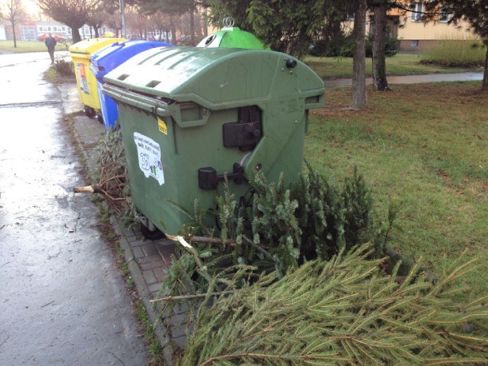 Svoz odložených vánočních stromků zajistí obvod na vlastní náklady